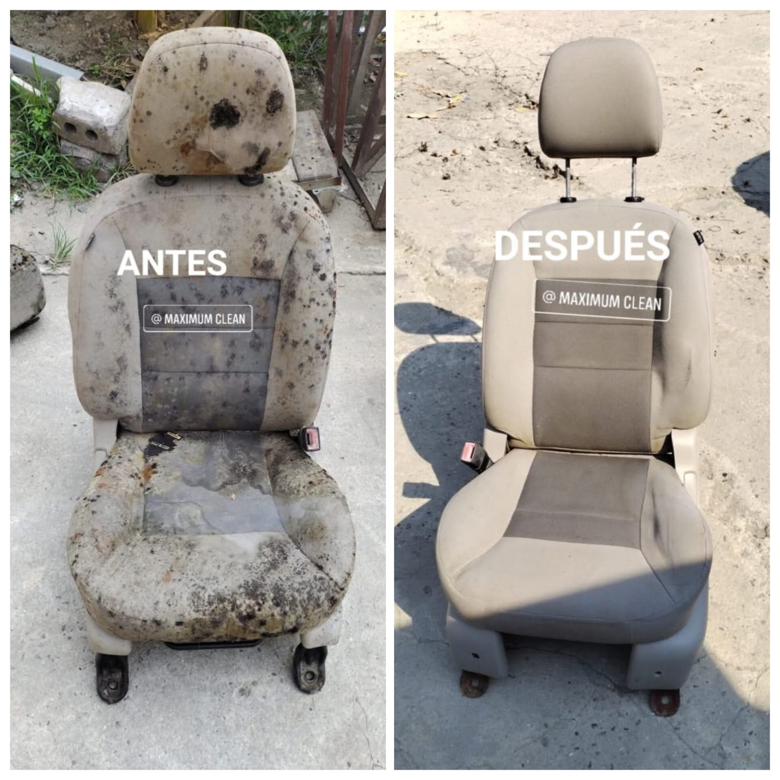 Limpieza de Hongos y Humedad