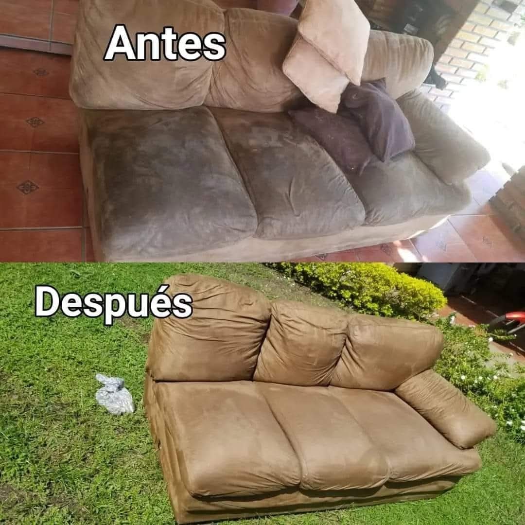 Shampuseado sala